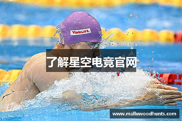 了解星空电竞官网